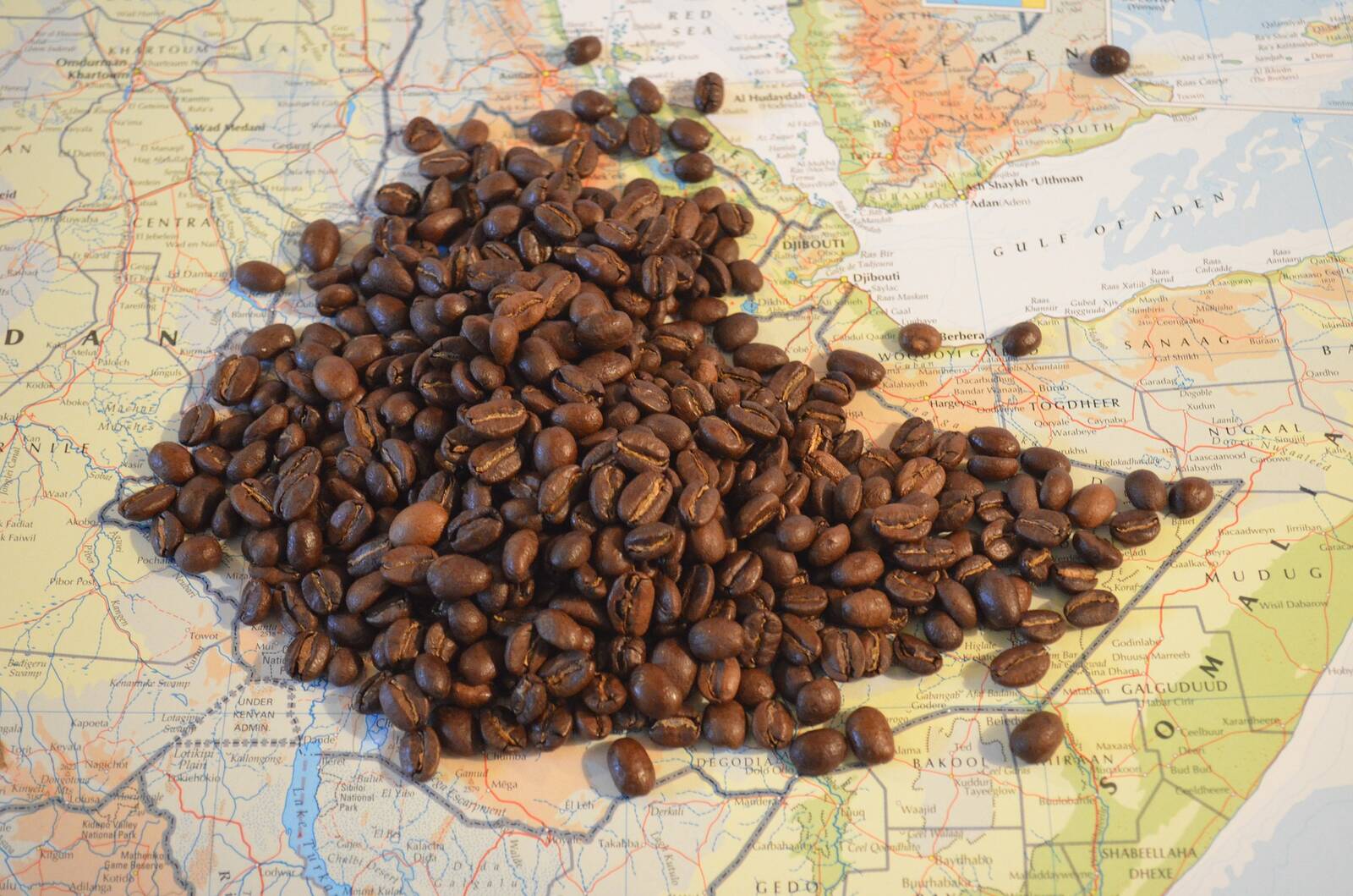 Coffee beans spread across a map of the Horn of Africa